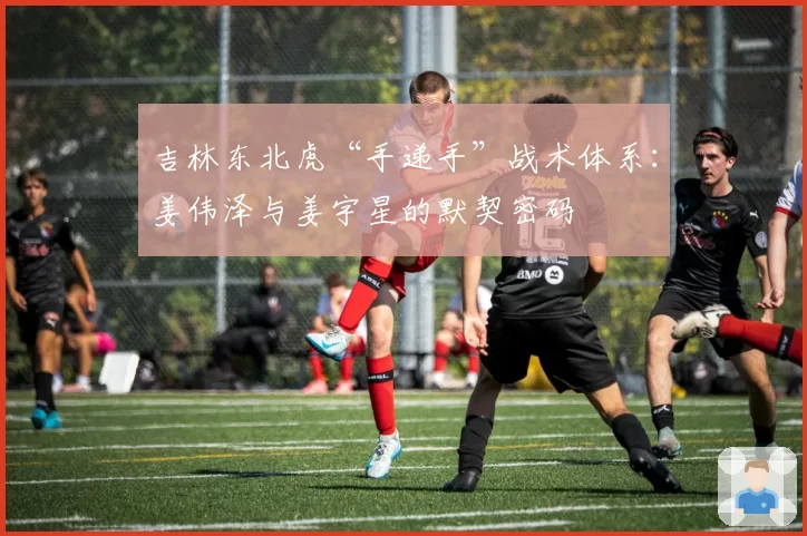 吉林东北虎“手递手”战术体系：姜伟泽与姜宇星的默契密码