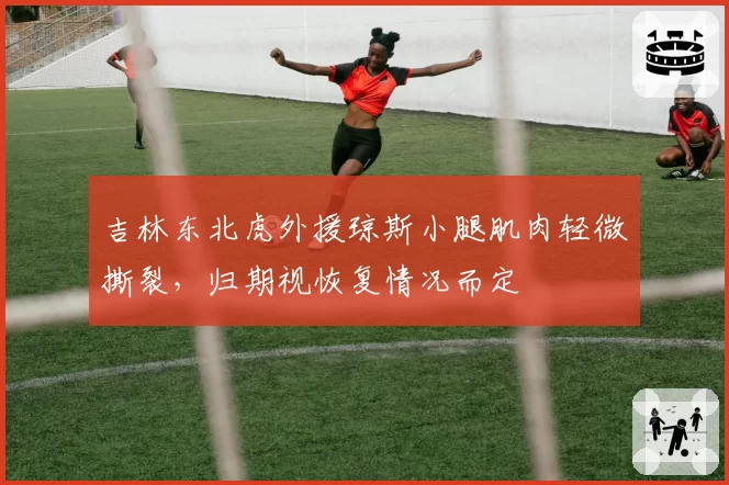 吉林东北虎外援琼斯小腿肌肉轻微撕裂，归期视恢复情况而定