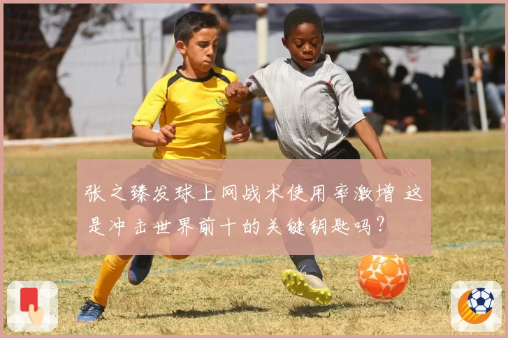 张之臻发球上网战术使用率激增 这是冲击世界前十的关键钥匙吗?