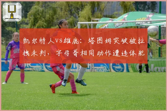 凯尔特人vs雄鹿:塔图姆突破被拉拽未判,字母哥相同动作遭违体犯规